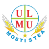 logo Mostistea Ulmu
