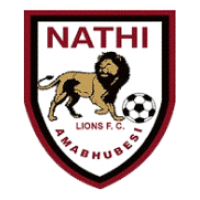 logo Nathi Lions