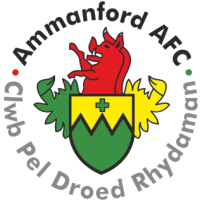 logo Ammanford