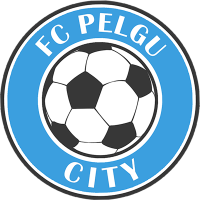 logo Pelgu City