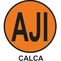 logo Atlético Juventud Inclán