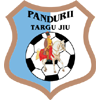 logo Pandurii Targu-Jiu