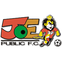 logo Joe Public