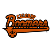 logo Calgary Boomers