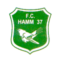 logo Hamm 37