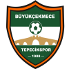 logo Büyükçekmece Tepecikspor