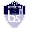 logo Bozüyükspor
