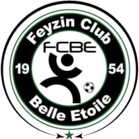 logo Feyzin