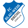 logo BW Brühl