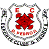 logo Dom Pedro