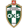 logo Okocimski Brzesko