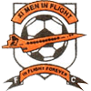 logo Eleven Men in Flight