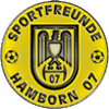 logo Hamborn 07
