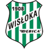 logo Wisloka Debica