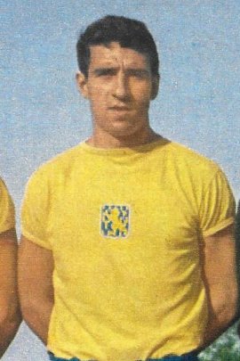 Bernard Bosquier Stats et palmarès