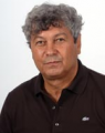 Mircea Lucescu 2008-2009