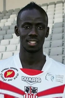 Fousseni Diawara 2012-2013