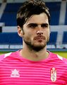 Orestis Karnezis 2013-2014