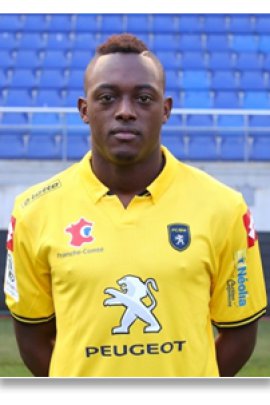 Jérôme Roussillon 2014-2015