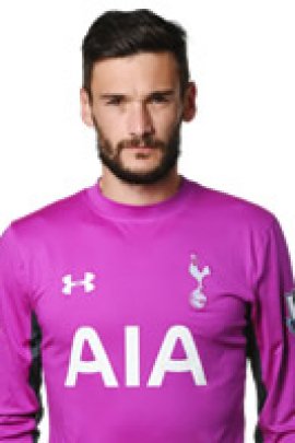 Hugo Lloris 2014-2015