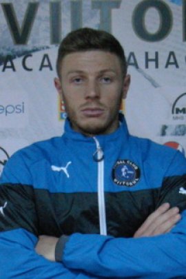 Bogdan Mitrea 2014-2015