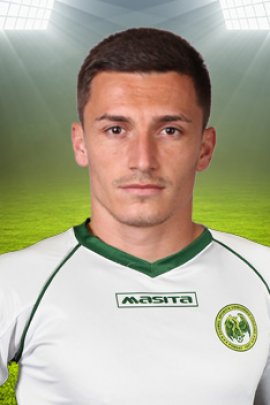 Nicolae Musat 2014-2015
