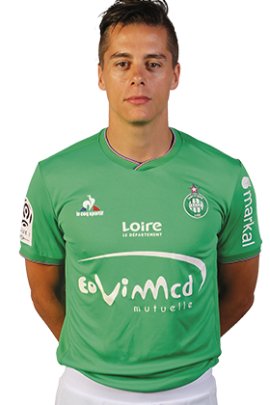 Romain Hamouma 2015-2016