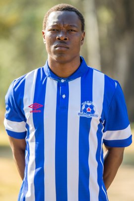 Philani Zulu 2016-2017