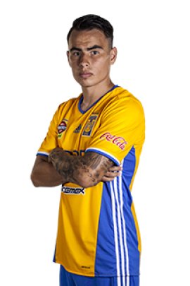 Lucas Zelarayan 2016-2017