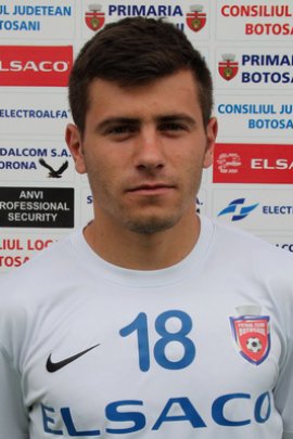 Mihai Bordeianu 2016-2017