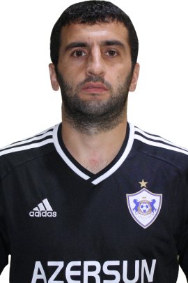 Rahid Amirguliyev 2016-2017