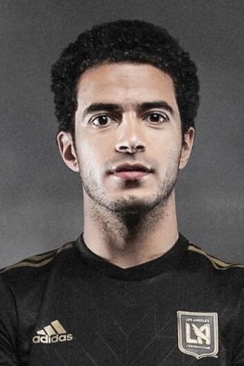 Omar Gaber 2017-2018