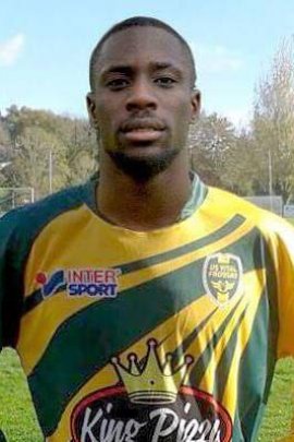 Jules Iloki Stats et palmarès