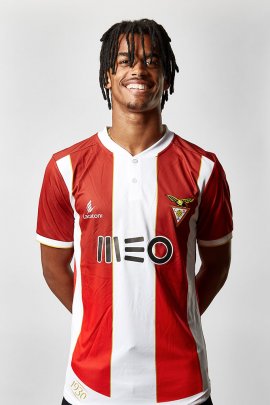 Miguel Tavares 2018-2019