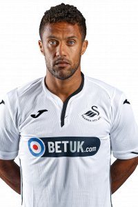 Wayne Routledge 2018-2019