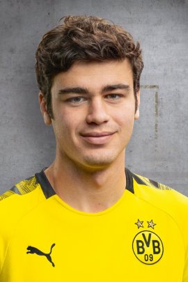 Giovanni Reyna 2019-2020