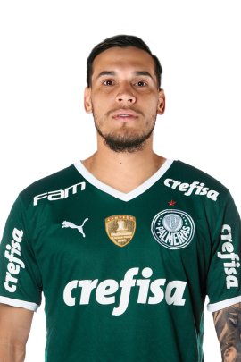 File:Gustavo-Gomez-Palmeiras-abr2022.jpg - Wikimedia Commons