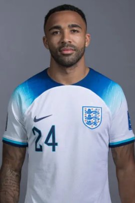 Callum Wilson 2022