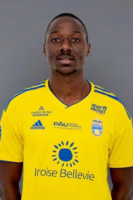 Mamadou Kamissoko