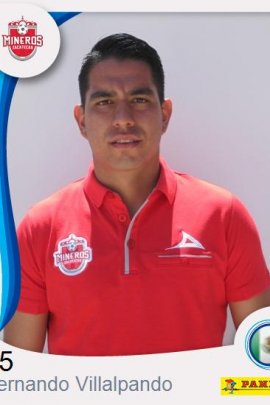 Fernando Villalpando - Stats and titles won