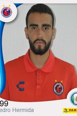 Pedro Hermida Stats et palmarès 23/24