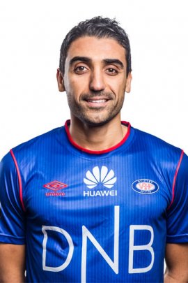 Mohammed Abdellaoue Stats et palmarès