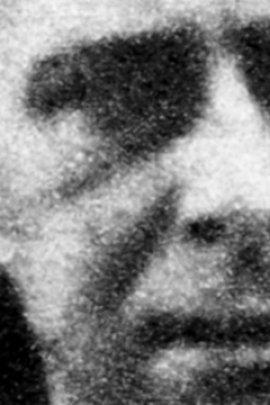 Romà Forns Stats et palmarès