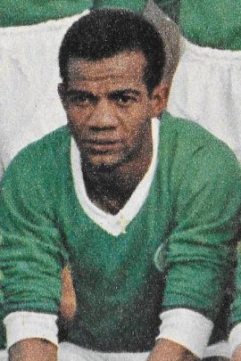 Taillepierre Stats et palmarès