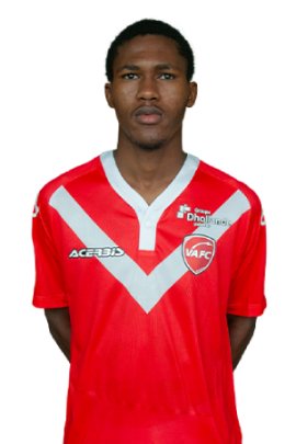 Ibrahima Diallo Stats et palmarès 24/25