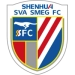 logo Shanghai Shenhua