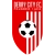 logo Derry City