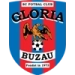logo Gloria Buzau