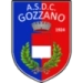 logo Gozzano