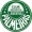 logo Juventud Palmeiras